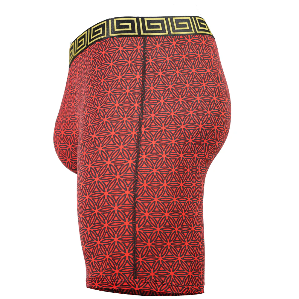 SHEATH V Modal Men's Pouch Boxer Brief 8" - Image 36
