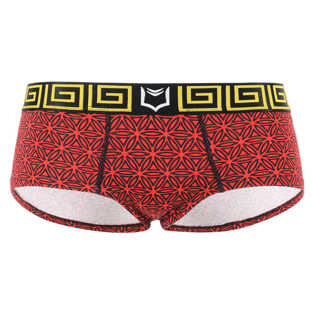SHEATH Women's Modal Cheeky Boyshorts - Image 6